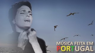 Amália Rodrigues  Sónia Tavares  Gonçalo Salgueiro  gaivota letra [upl. by Albur]