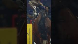 Dantan Bertsch at The CFR ‌ 📸 Hanging Horses ‌rodeo broncriding [upl. by Suoivart]