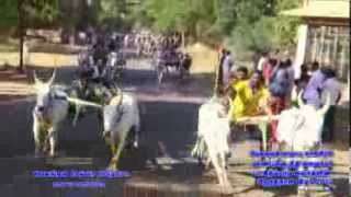 Rekla Race 2013 SivagangaiCongress2 Puthupatti Ganapathi [upl. by Cherish]