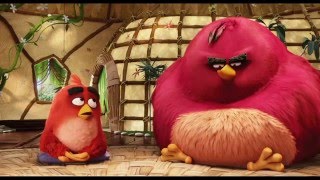 ANGRY BIRDS 2 DAILY CHALLENGES FULL WEEK GAMEPLAY HD 3 [upl. by Stralka]