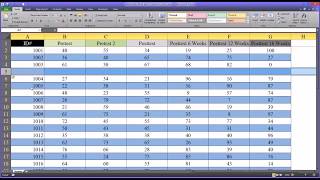 Alternating Row and Column Colors and Other Formatting Options in Excel [upl. by Efioa586]