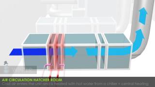 Petersime turnkey hatcheries air circulation in the hatchery [upl. by Threlkeld790]