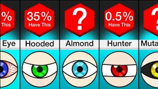 Comparison Different Types Of Eyes [upl. by Aivun]