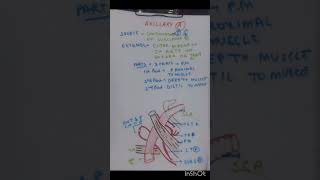 axillary artery notes free crash course anatomy anatomy free education mbbs exam doctor bhms [upl. by Maud]