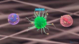 The Role of Epithelial Cytokines in CRSwNP [upl. by Nolaj]