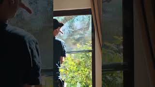 Save Money with Window Film Installation Reduce Energy Costs [upl. by Arrej189]