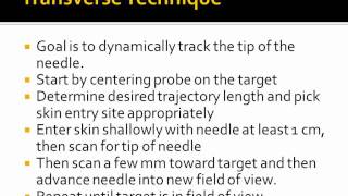 Techniques for US guided Needle Placement  Chenmp4 [upl. by Delanie]