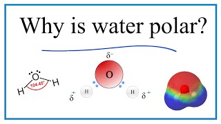 Why is water H2O a polar molecule [upl. by Eenal606]