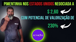 SCYNEXIS BIOTECNOLOGIA STOCK BARATA Que Pode VALORIZAR 230 Em DÓLAR [upl. by Liauqram]