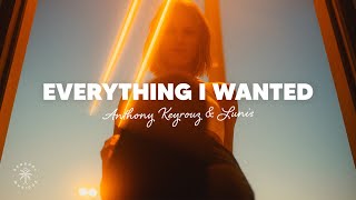 Anthony Keyrouz amp Lunis  Everything I Wanted Lyrics [upl. by Namien987]