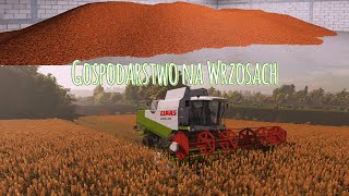 FS 22  Gospodarstwo na Wrzosach 11  Żniwa Sorga [upl. by Nyvrem]