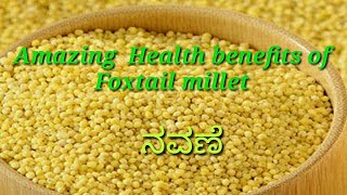 Amazing Health benefits of Foxtail millet ನವಣೆ [upl. by Tioneb]