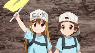 Cells at Work Trailer 2 [upl. by Roderigo]