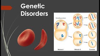 Genetic Disorders [upl. by Yttisahc756]