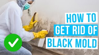 How to GET RID OF BLACK MOLD safely [upl. by Redyr304]