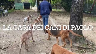 Abano Terme la casa dei cani di Paolo [upl. by Nabatse]