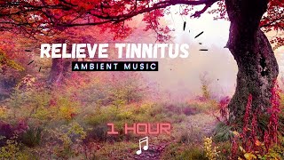 Bruit blanc acouphènes La musique relaxante pour apaiser lesprit [upl. by Yelsew]