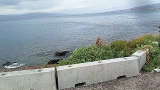 FILM MARE SPORCO E LAMMINISTRAZIONE COMUNALE FALLITA DI REGGIO CALABRIA NON FA NIENTE COME SEMPRE [upl. by Monah67]