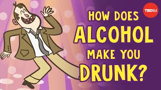 How does alcohol make you drunk  Judy Grisel [upl. by Hnahc]