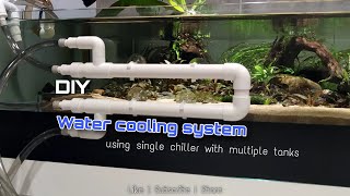 DIY Water cooling system  Single chiller with multiple tanks Tutorial [upl. by Iseabal556]