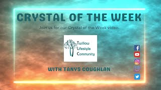 Crystal of the Week for the Week of December 2 2024 Snowflake Obsidian [upl. by Evelin]