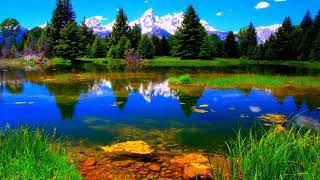 Beautiful Nature Wallpapers  beautiful images of nature [upl. by Nivat609]