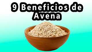 9 beneficios para la salud de la Avena Avena Beneficios [upl. by Munshi]