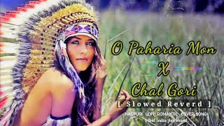 O paharia Mon x Chal Gori  Nagpuri Lofi Romantic caver song   Slowed Reverd [upl. by Adnovoj]