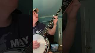 Metallica quotOrionquot banjo version [upl. by Leclair]