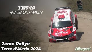 Rallye Terre dAléria 2024  Best Of Moderne Jump amp Attack [upl. by Nilad]