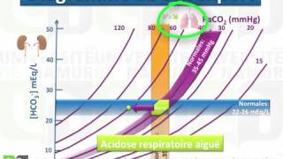 Physiologie respiratoire Régulation acide base [upl. by Eisdnil196]