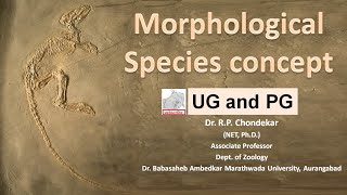 Morphological species concept [upl. by Lihp]