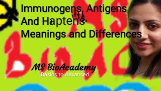 IMMUNOGEN ANTIGENS AND HAPTENSin English [upl. by Cynthie379]