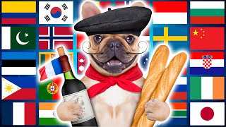 Dog in 70 Languages Meme [upl. by Zehcnas]