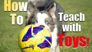 How to Reward your Dog with TOYS Instead of Food [upl. by Idoj425]