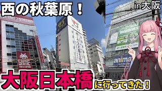 【大阪 日本橋】西の秋葉原こと大阪日本橋電気街でんでんタウンに行ってみた！【AIVOICE2実況】 [upl. by Eulalia]