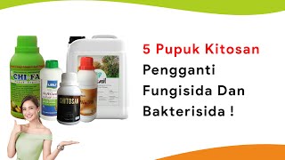 5 Pupuk Kitosan dari Cangkang Kepiting Pengganti Fungisida dan Bakterisida [upl. by Hachman]