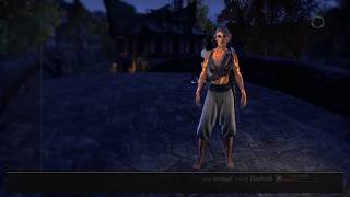 ESO Magicka Templar PvP Build Absolution [upl. by Leva]