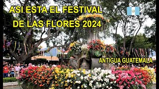 8 EDICION FESTIVAL DE LA FLORES 2024 ANTIGUA GUATEMALA [upl. by Dre]