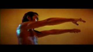 Hung Gar Gung Ji Subduing Tiger Fist 工字伏虎拳 Form [upl. by Ardnahc]