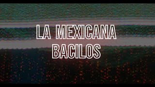 La mexicana  Bacilos Kodlaraoke karaoke artesanal [upl. by Eilra]