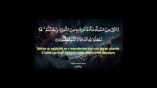 Beautiful Quran Recitation with Turkish Translation I Surah Al Baqarah 2122 I Wadee Al Yemeni [upl. by Behrens579]