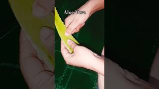 Aloe vera acne and dark spot remove glowing skinshortsvideo aloevera termaric glowingskin [upl. by Mclaughlin]