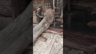 SAWMILLING THE HUGE ROOT wood woodmill carpentry woodmizer woodworking welding lumber saw [upl. by Fassold]