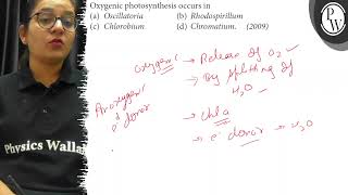 Oxygenic photosynthesis occurs in a Oscillatoria b Rhodospirillum c Chlorobium d Chromati [upl. by Quillan]