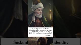 Mevlana quotSuskunluğum asaletimdendirquot edebiyat felsefe mevlana şair şiir [upl. by Atinar]