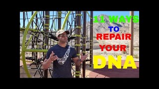 11 WAYS TO REPAIR YOUR DNA अपने DNA को शक्तिशाली बनाइए dnarepair dnaaansul888 [upl. by Atalante]