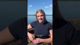 Tourists bitten in string of dingo attacks on Kgari Fraser Island  ABC News [upl. by Narad67]