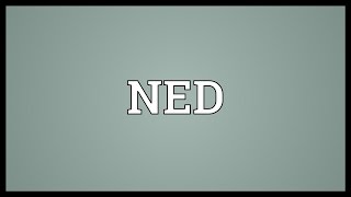 NED Meaning [upl. by Dannye508]