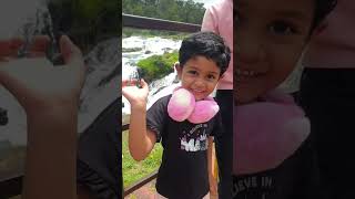 Pykara waterfalls ooty shortsvideo love travel viralreels viralvideo shorts viral shortsfeed [upl. by Lawry]